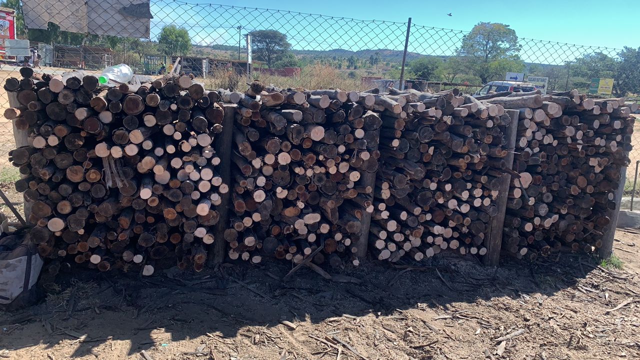 Treated and Untreated Poles