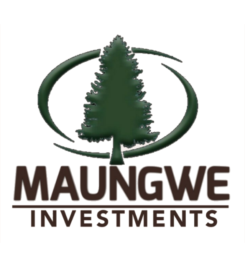 Maungwe Investments
